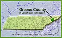 Greene County in Upper East Tennessee