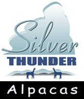 Silver Thunder Alpacas is located in Greeneville, Tennessee. Before leaving Southern California Silver Thunder Alpacas was known as Silver Thunder Alpaca Ranch.