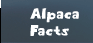 Alpaca Facts - Interesting Alpaca Information